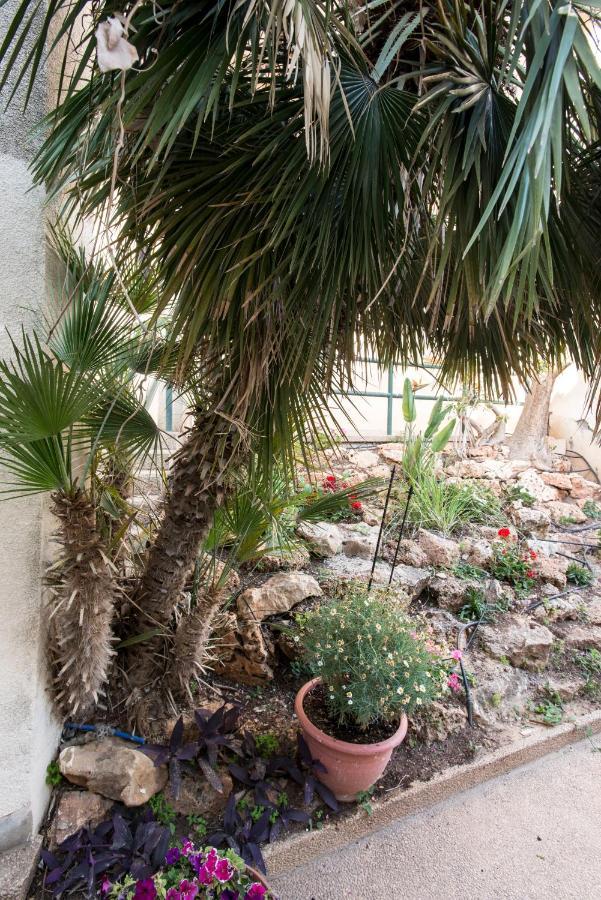 Eshkol Housing Haifa - Luxury Villa Panoramic Sea View Luaran gambar